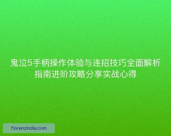 鬼泣5手柄操作体验与连招技巧全面解析指南进阶攻略分享实战心得